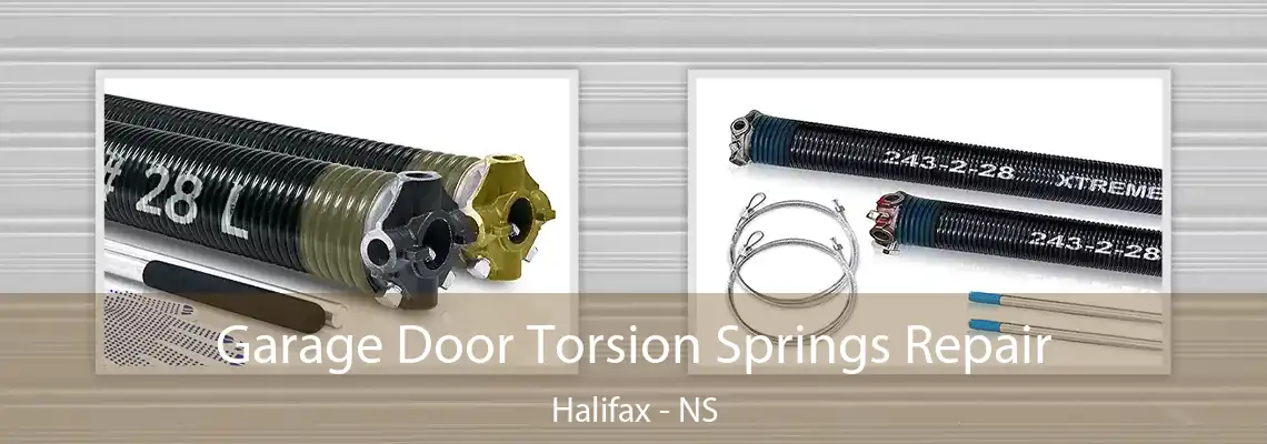 Garage Door Torsion Springs Repair Halifax - NS